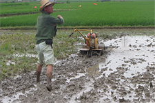 �ϲ�����-����΢����