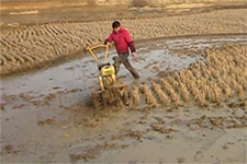 �ϲ�����-����΢����