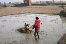 �ϲ�����-����΢����