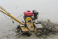 �ϲ�����-����΢����