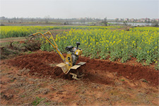 �ϲ�����-����΢����