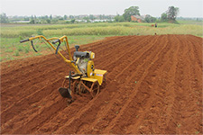 �ϲ�����-����΢����