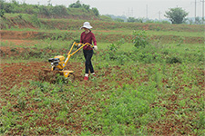 �ϲ�����-����΢����