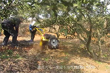 �ϲ�����-����΢����