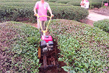 �ϲ�����-����΢����