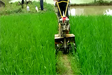 �ϲ�����-����΢����